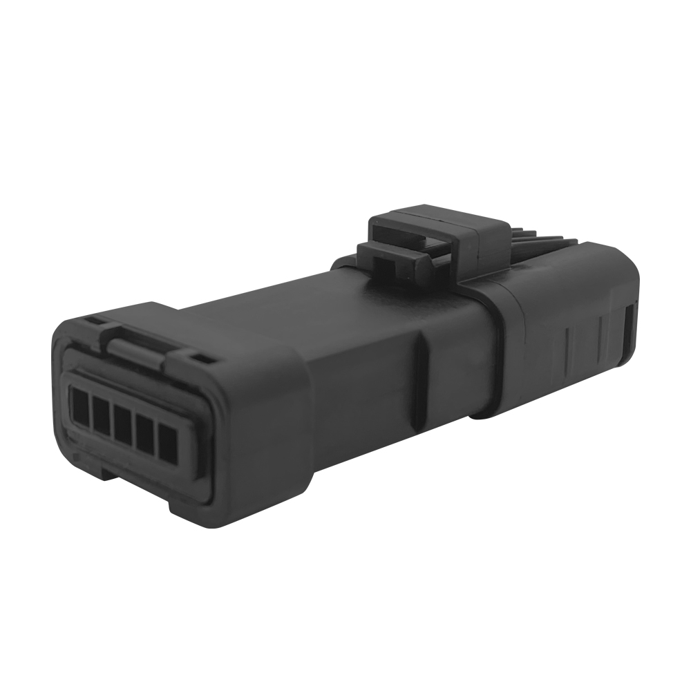 Plug and socket fittings of automobile electronic fuel pump