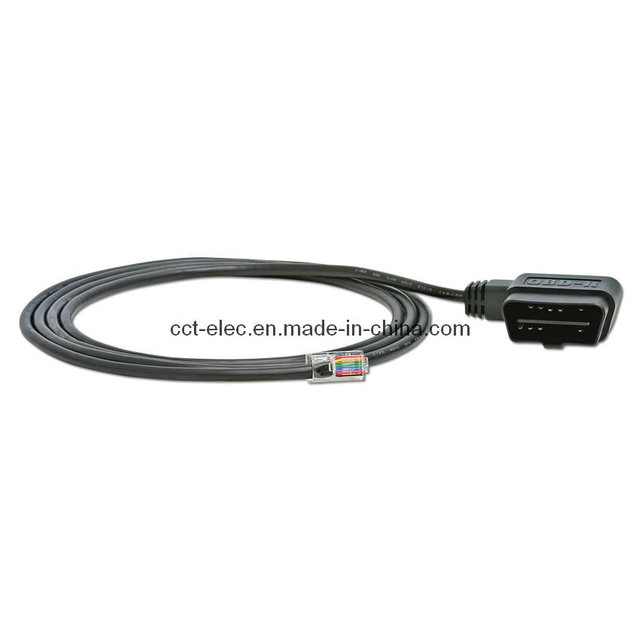 J1962 16p M to RJ45 Cable