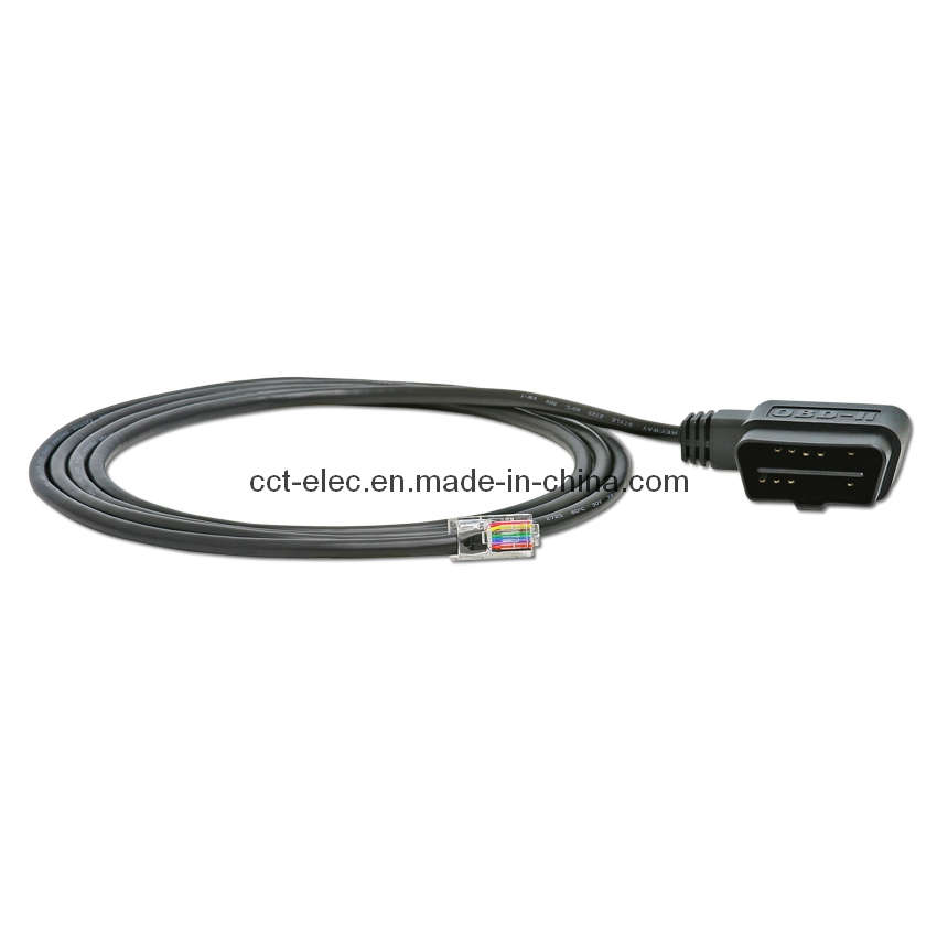 J1962 16p M to RJ45 Cable